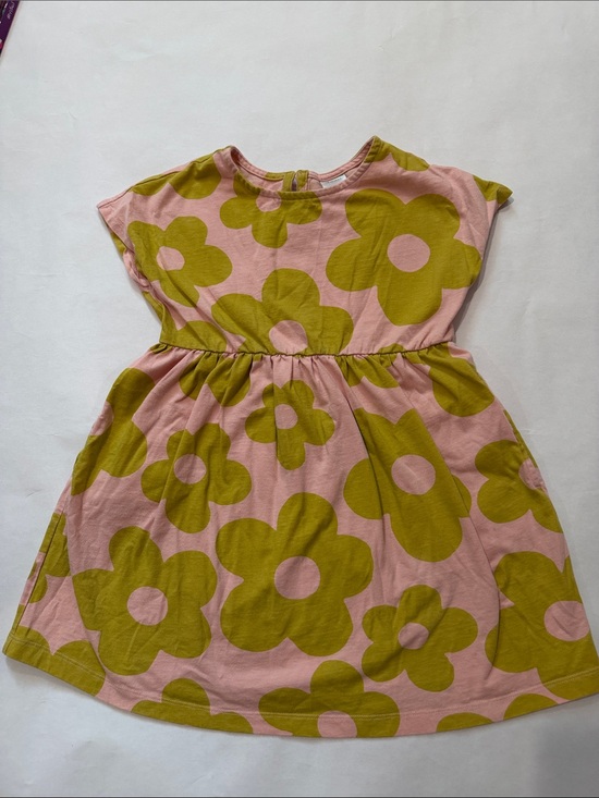 Hanna Andersson Other - Hanna Andersson Pink Dress with Olive Flower Print